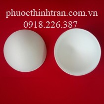 Đệm áo ngực TRON R
